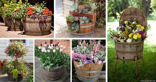Old Barrel For Planting Flowers