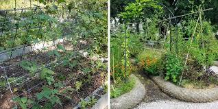 Diy Trellis Ideas Will Get Your Garden