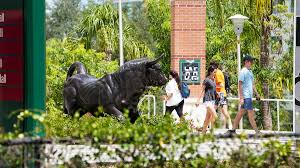 Usf Expects To Hire A New President By