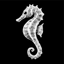 Seahorse Drawing Images Free