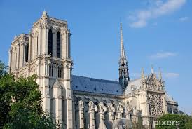 Shower Curtain Cathedral Notre Dame De
