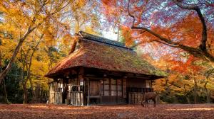 2023 36 Sightseeing Spots In Nara