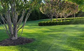 Quick Solution Property Care Landscaping