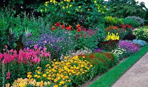 Get Into The Garden Sight Support