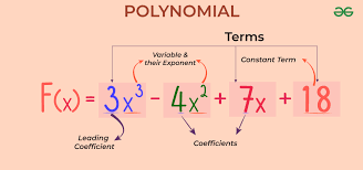 Polynomial Definition Types Degree