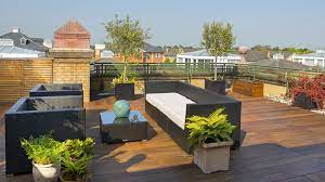 Roof Garden Design London Ginkgo