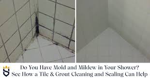 See How A Tile Grout Cleaning And
