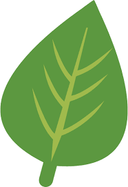 Herb Green Leaf Icon Png And Svg Vector