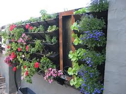 Urban Vertical Gardening Ideas