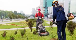 Lawn Care Services In North Ogden Ut