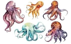 Octopus Ilrations Stock Octopus