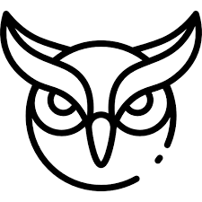 Owl Special Lineal Icon