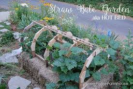 Straw Bale Garden Aka A Hot Bed