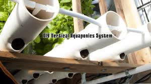 Diy Vertical Aquaponics System Grozine