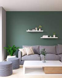 Green Living Room Accent Wall With Gray
