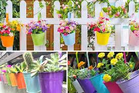 Plant Deals Indoor Outdoor Plant