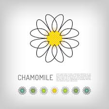 Daisy Logo Images Browse 24 959 Stock