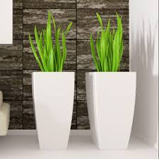 Home Interior Plant Creations