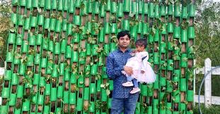 Vertical Garden With Bamboo