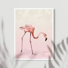 Pink Flamingo Print Framed Flamingo