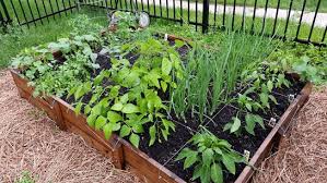 Benefits Of Square Foot Gardening
