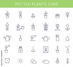 Potted Plants Care Instructions Icons