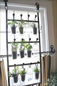 16 Indoor Window Garden Ideas With