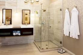 Frameless Glass Shower Doors