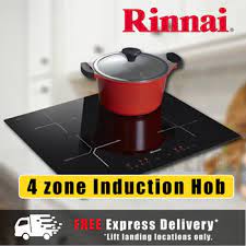 Schott Ceran Glass Induction Hob