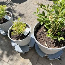 Top 10 Best Organic Compost In Portland