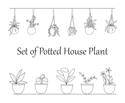 Set Of Potted House Plant Ilrations
