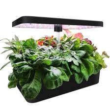 Hydroponic Planting Systems Indoor