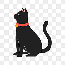 Black Cat Icon Transpa Black Cat