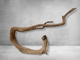 Natural Wood Sculpture Senna
