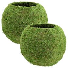 Metal Sphere Moss Ball Planter