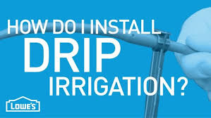 Drip Irrigation System Guide