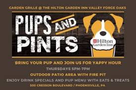 Pups And Pints Phoenixville Pa