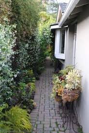 Narrow Garden Plants Garden Spaces