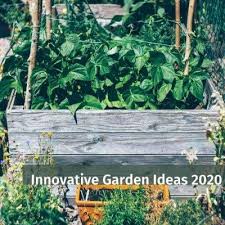 Innovative Gardening Ideas To Try