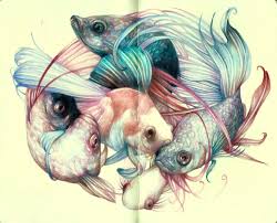 The Colored Pencil Drawings Of Marco