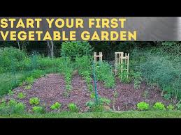 Make Your First Vegetable Garden