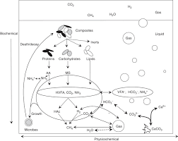 Physicochemical Process An Overview