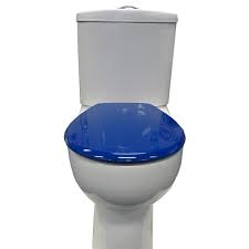 Blue Toilet Seat Bemis Ts108054 604