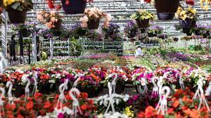 Alsip Home Nursery Northwest