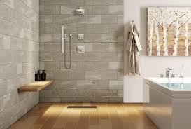 Bathroom With A Barrier Free Shower