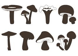 Mushroom Clipart Images Browse 1 559