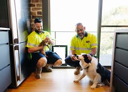 Glass Pet Doors Dog Doors Cat Doors
