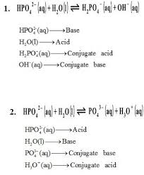 Conjugate Acid Or Conjugate Base