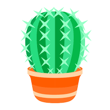 Cactus Cactus Oasis Green Plant