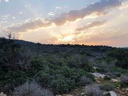 חוות בריאות סדנת ניקוי רעלים צום